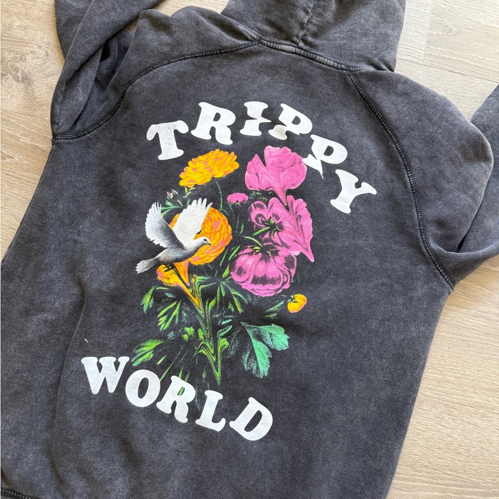 PacSun charcoal Hoodie-Size M